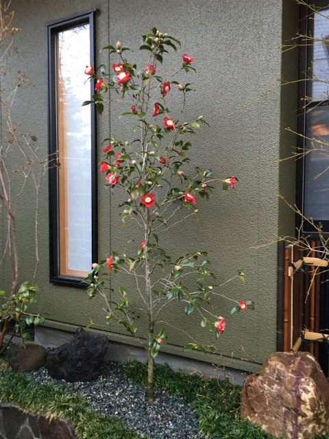 作品集・葉月園